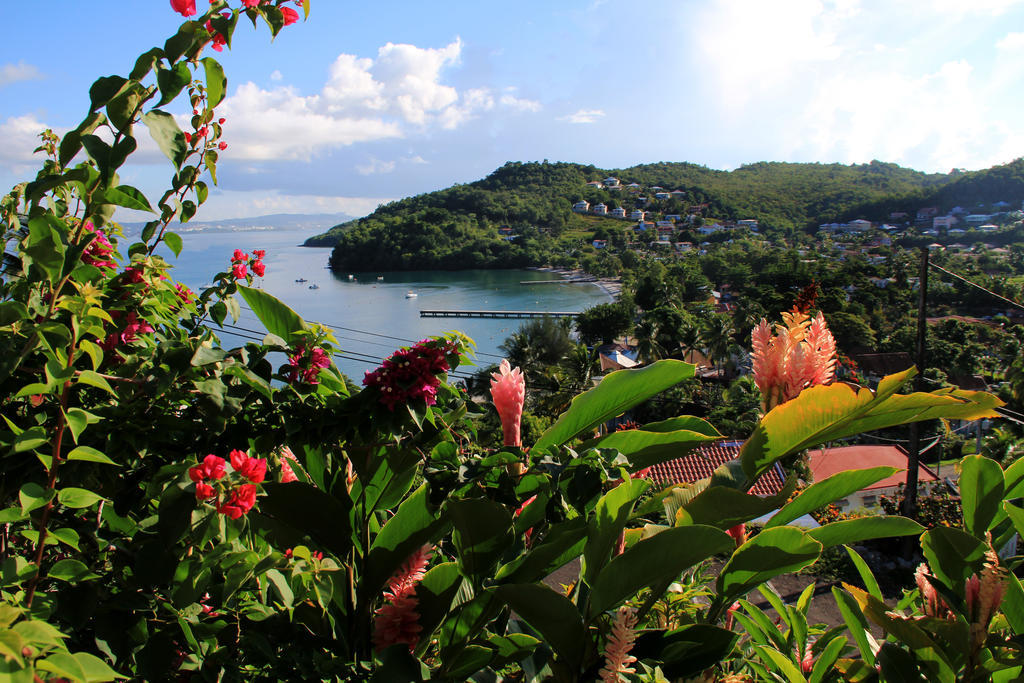 Aparthotel Le Panoramic Les Trois-Ilets Pokoj fotografie